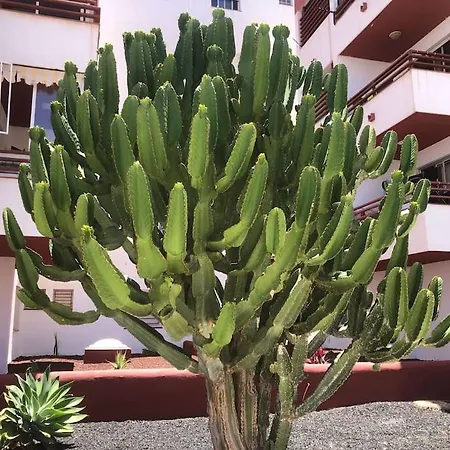 Apartmán Apartamento Con Piscina Cerca De Puerto Colon