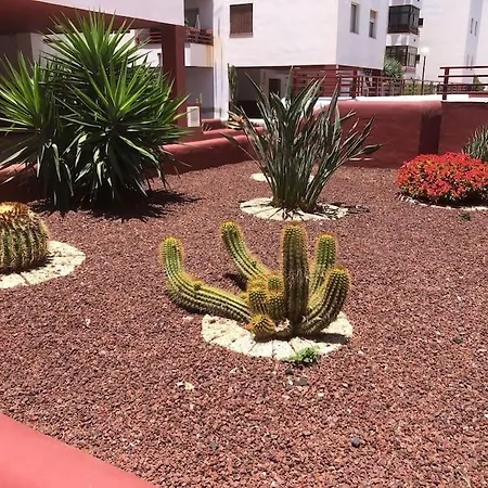 Apartamento Con Piscina Cerca De Puerto Colon * Costa Adeje (Tenerife)
